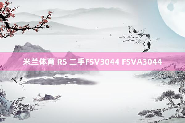 米兰体育 RS 二手FSV3044 FSVA3044