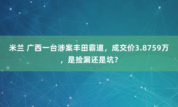 米兰 广西一台涉案丰田霸道，成交价3.8759万，是捡漏还是坑？