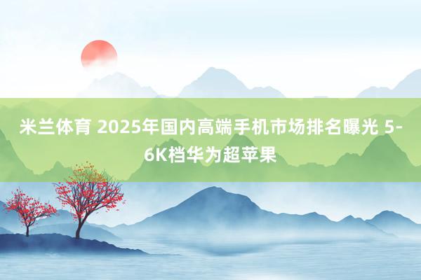 米兰体育 2025年国内高端手机市场排名曝光 5-6K档华为超苹果